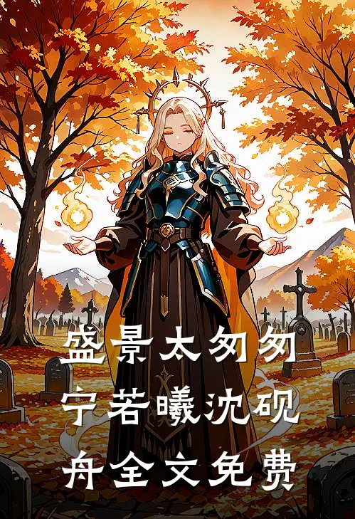 盛景太匆匆宁若曦沈砚舟全文免费