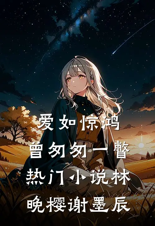 爱如惊鸿，曾匆匆一瞥热门小说林晚樱谢墨辰