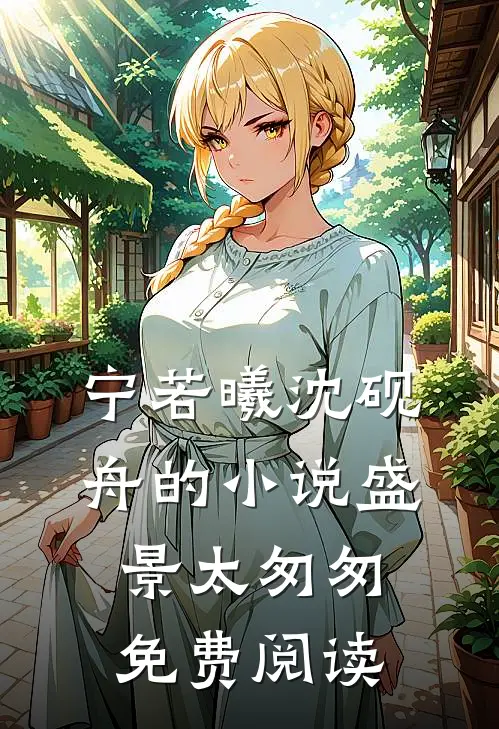 宁若曦沈砚舟的小说盛景太匆匆免费阅读