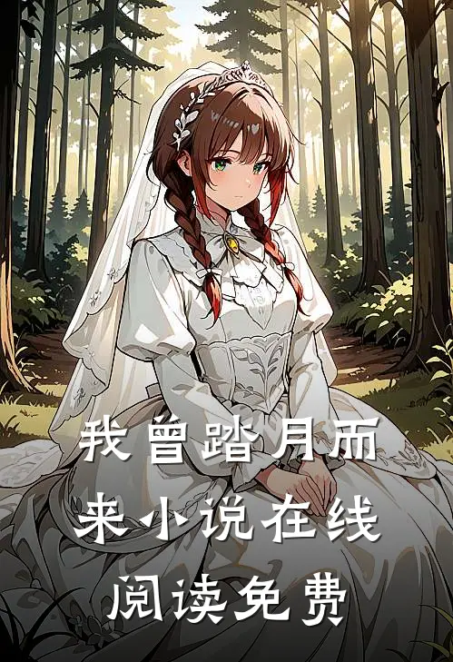 我曾踏月而来小说在线阅读免费