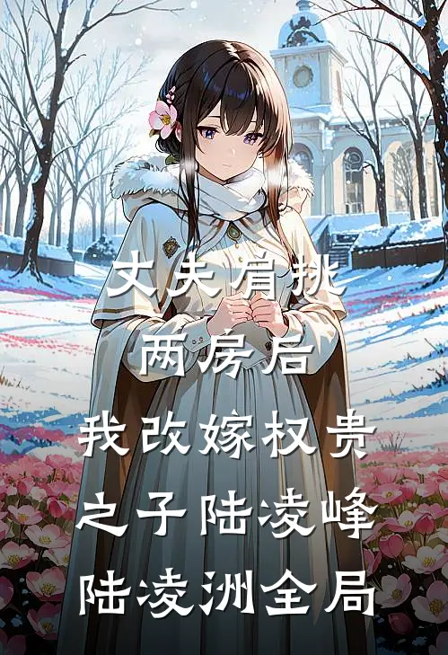 丈夫肩挑两房后，我改嫁权贵之子陆凌峰陆凌洲全局