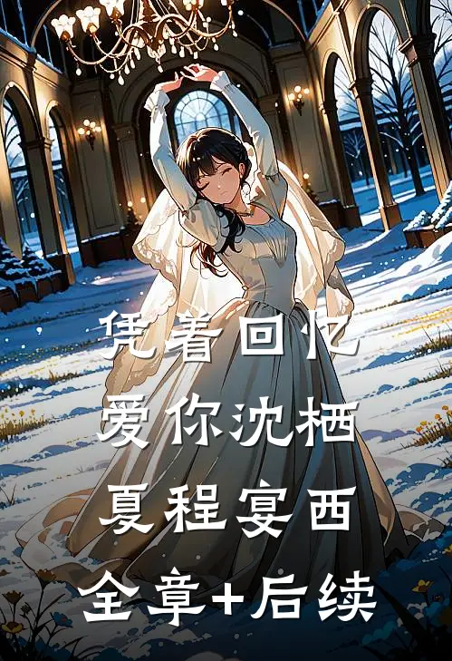 凭着回忆爱你沈栖夏程宴西:全章+后续