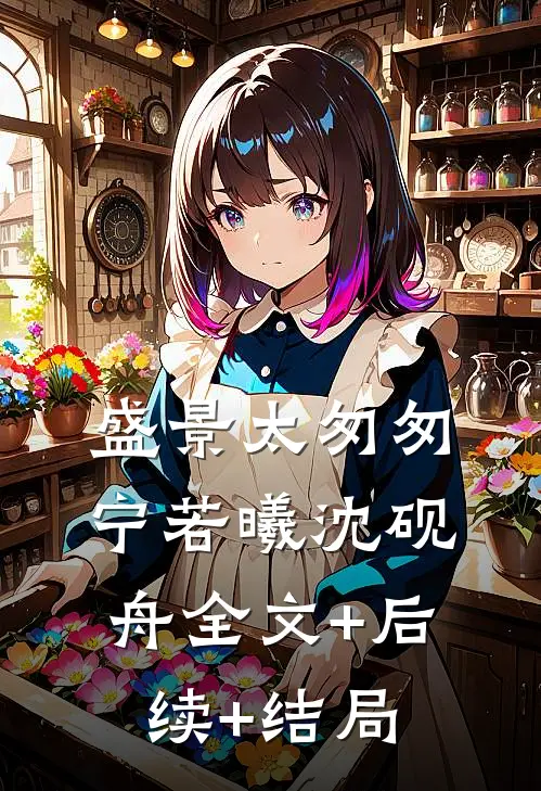 盛景太匆匆宁若曦沈砚舟全文+后续+结局