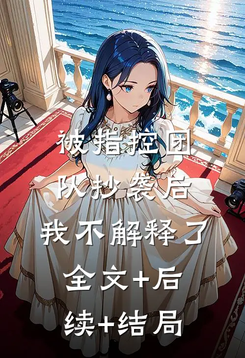 被指控团队抄袭后，我不解释了:全文+后续+结局