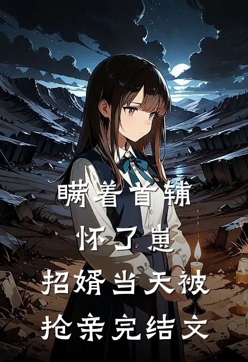 瞒着首辅怀了崽，招婿当天被抢亲完结文
