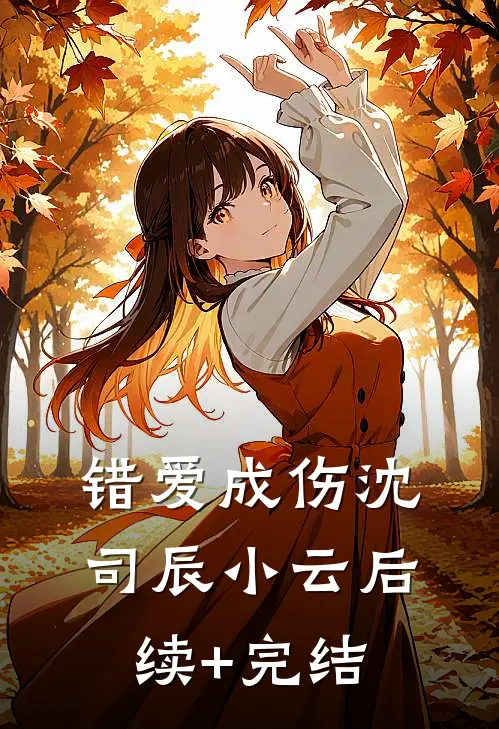 错爱成伤沈司辰小云后续+完结