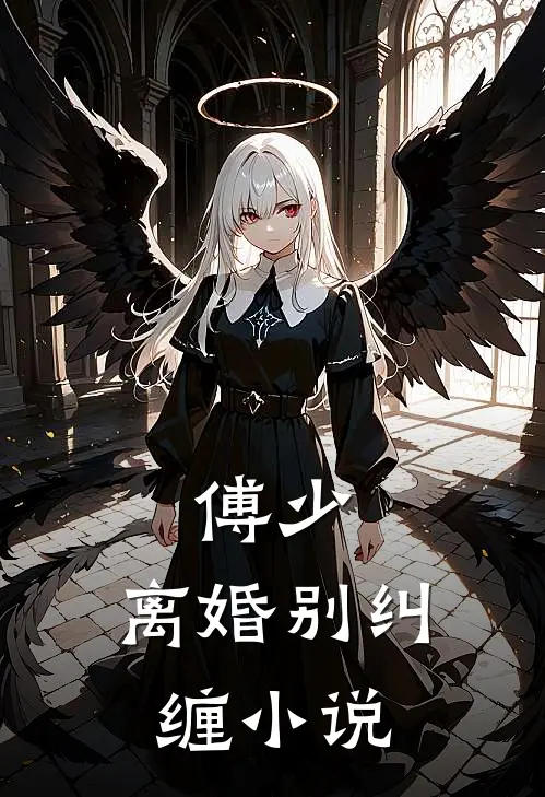 傅少，离婚别纠缠小说