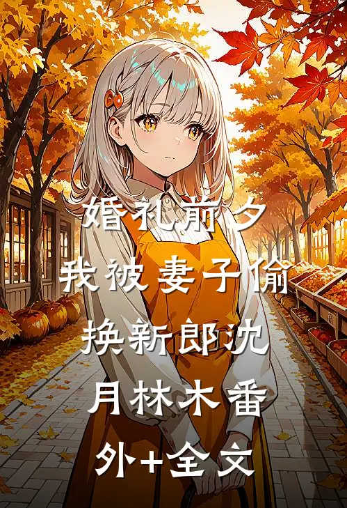 婚礼前夕，我被妻子偷换新郎沈月林木(番外)+(全文)
