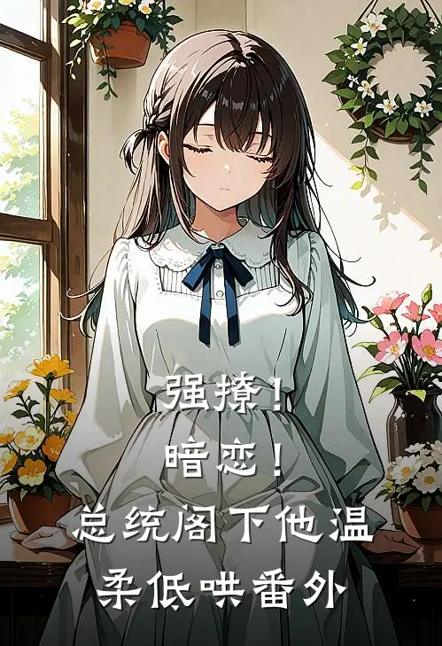 强撩！暗恋！总统阁下他温柔低哄番外