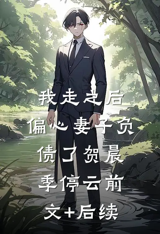 我走之后，偏心妻子负债了贺晨季停云前文+后续