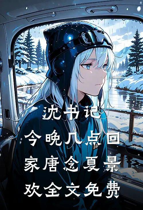 沈书记，今晚几点回家唐念夏景欢全文免费