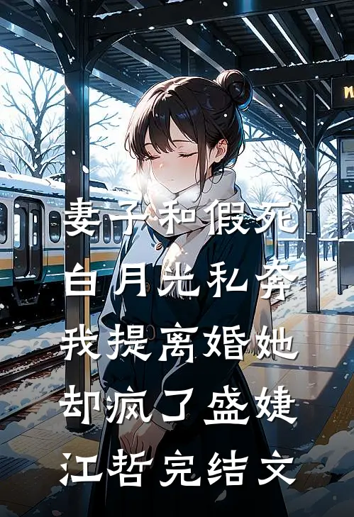 妻子和假死白月光私奔，我提离婚她却疯了盛婕江哲完结文