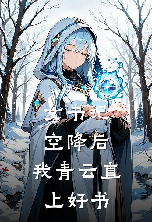 女书记空降后，我青云直上好书