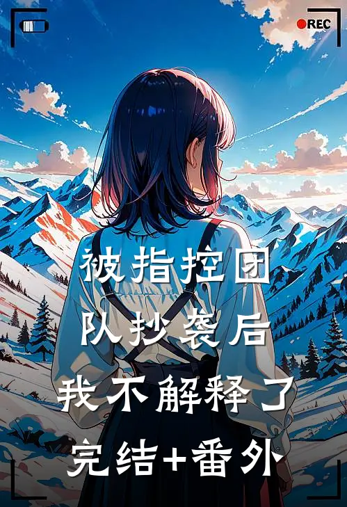 被指控团队抄袭后，我不解释了完结+番外