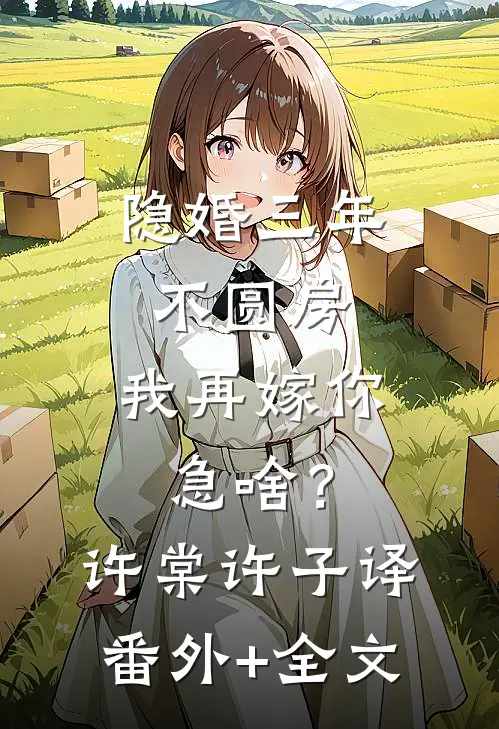 隐婚三年不圆房，我再嫁你急啥？许棠许子译:(番外)+(全文)
