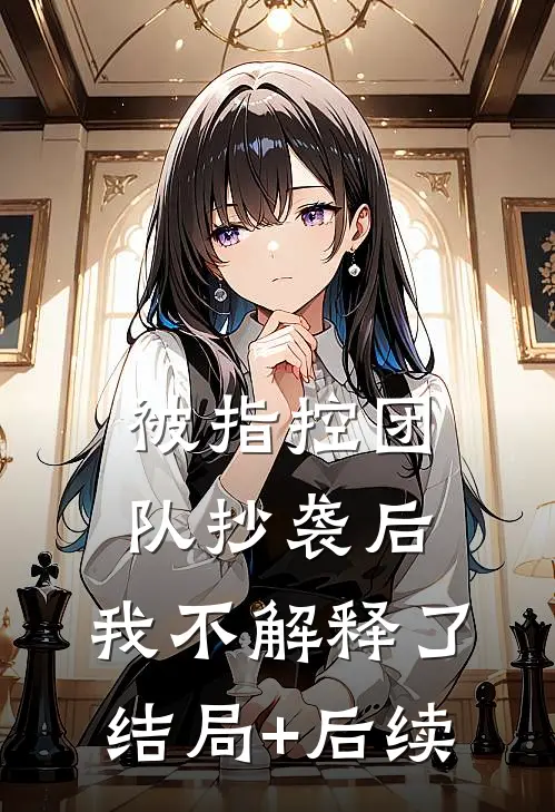 被指控团队抄袭后，我不解释了结局+后续