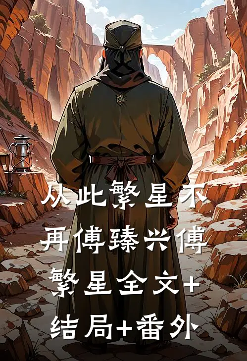 从此繁星不再傅臻兴傅繁星全文+结局+番外