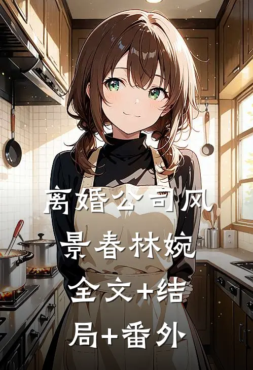 离婚公司风景春林婉全文+结局+番外