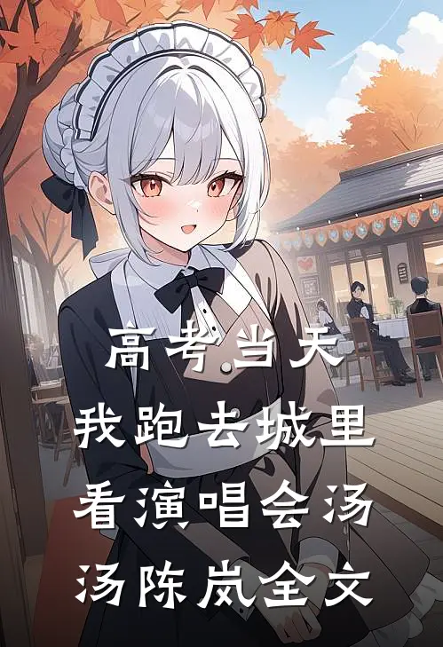 高考当天，我跑去城里看演唱会汤汤陈岚全文