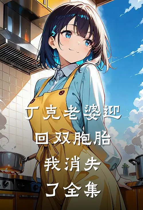 丁克老婆迎回双胞胎，我消失了全集