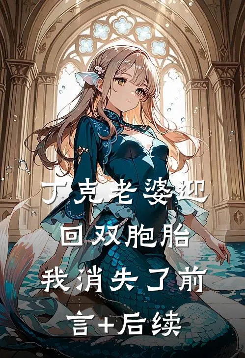 丁克老婆迎回双胞胎，我消失了前言+后续