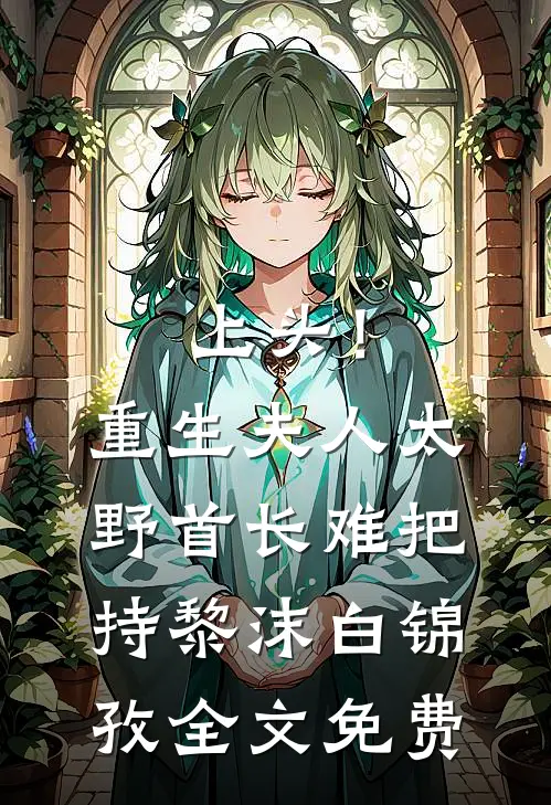 上头！重生夫人太野，首长难把持黎沫白锦孜全文免费