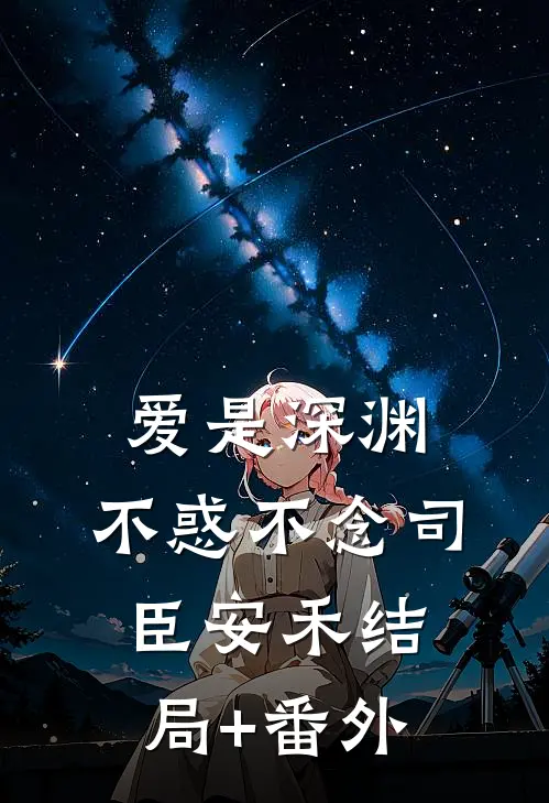 爱是深渊，不惑不念司臣安禾结局+番外