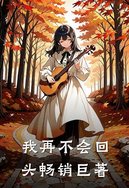 我再不会回头畅销巨著