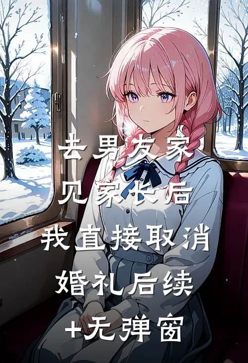 去男友家见家长后，我直接取消婚礼后续+无弹窗