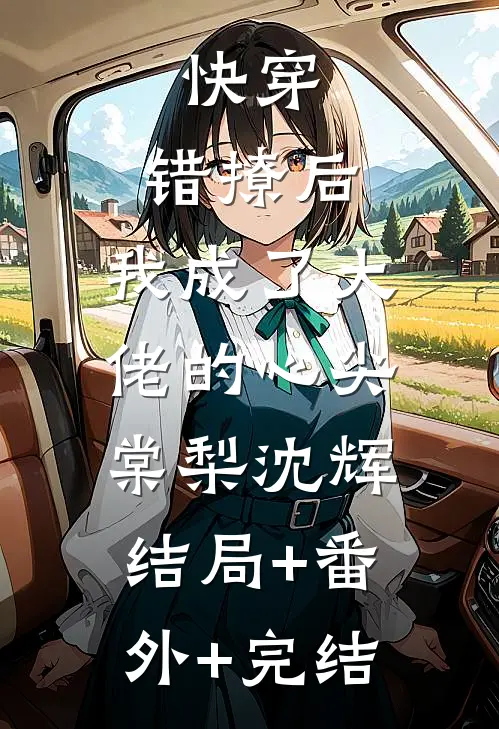 快穿：错撩后，我成了大佬的心尖棠梨沈辉:结局+番外+完结