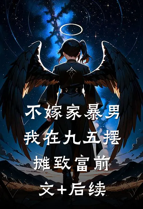 不嫁家暴男，我在九五摆摊致富前文+后续