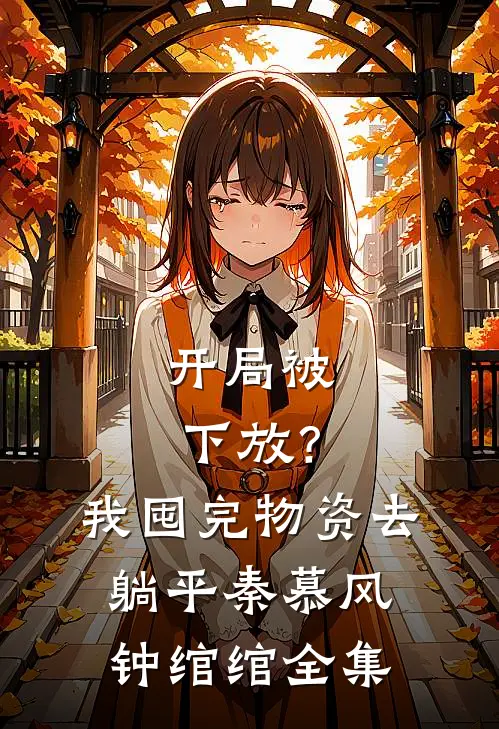 开局被下放？我囤完物资去躺平秦慕风钟绾绾全集