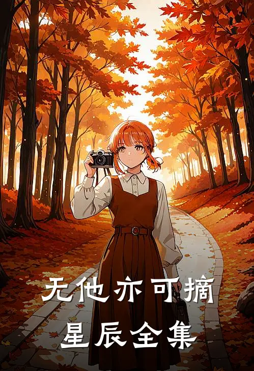无他亦可摘星辰全集