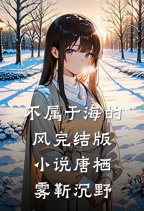 不属于海的风完结版小说唐栖雾靳沉野