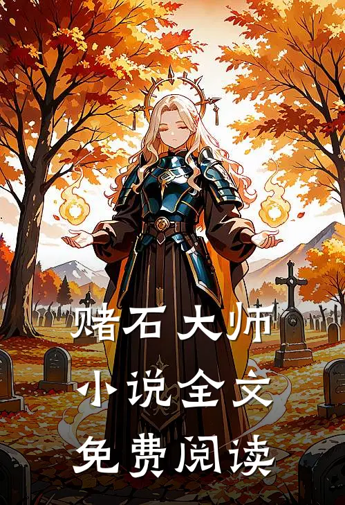 赌石大师小说全文免费阅读