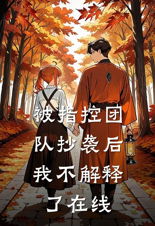 被指控团队抄袭后，我不解释了在线