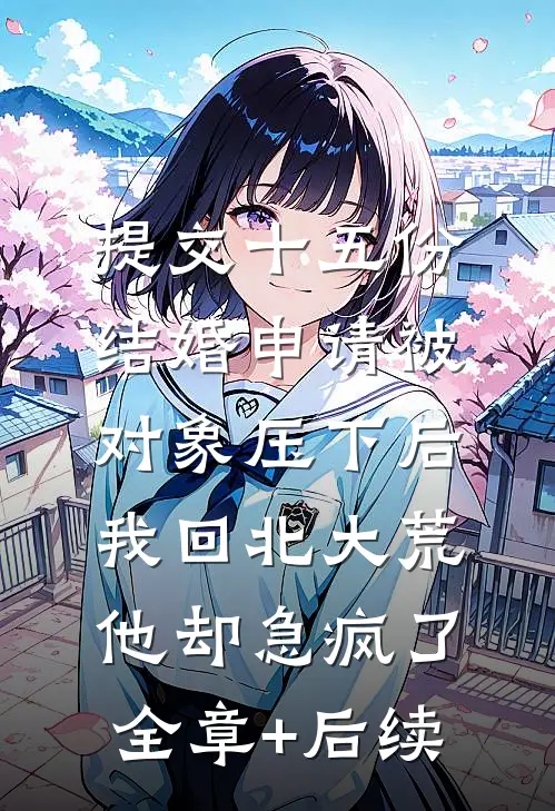 提交十五份结婚申请被对象压下后，我回北大荒他却急疯了全章+后续