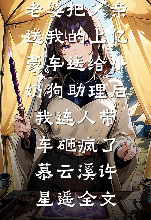 老婆把父亲送我的上亿豪车送给小奶狗助理后，我连人带车砸疯了慕云溪许星遥全文