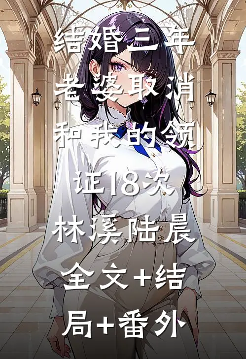 结婚三年，老婆取消和我的领证18次林溪陆晨:全文+结局+番外
