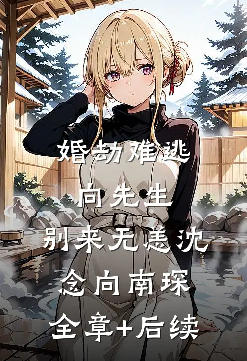 婚劫难逃：向先生，别来无恙沈念向南琛:全章+后续