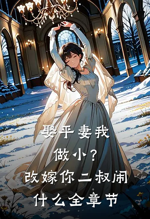 娶平妻我做小？改嫁你二叔闹什么全章节