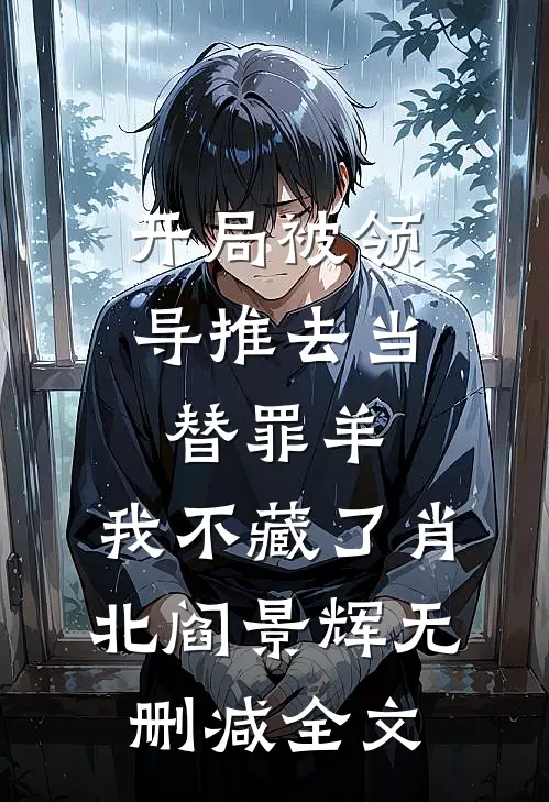 开局被领导推去当替罪羊，我不藏了肖北阎景辉无删减全文