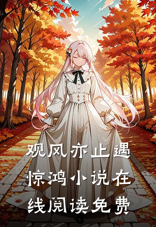 观风亦止遇惊鸿小说在线阅读免费