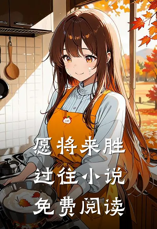 愿将来胜过往小说免费阅读