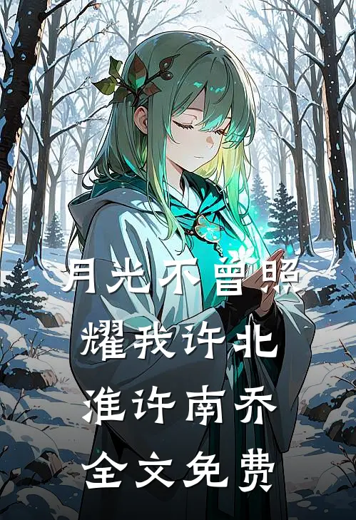 月光不曾照耀我许北淮许南乔全文免费