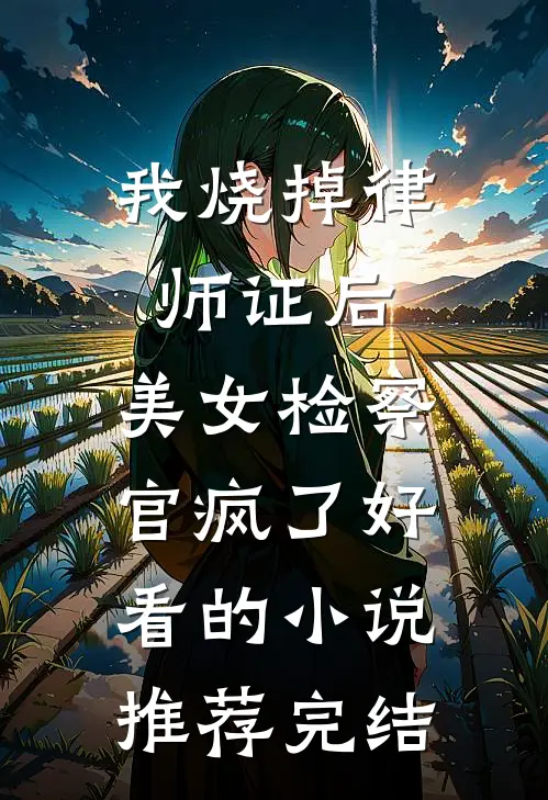我烧掉律师证后，美女检察官疯了好看的小说推荐完结