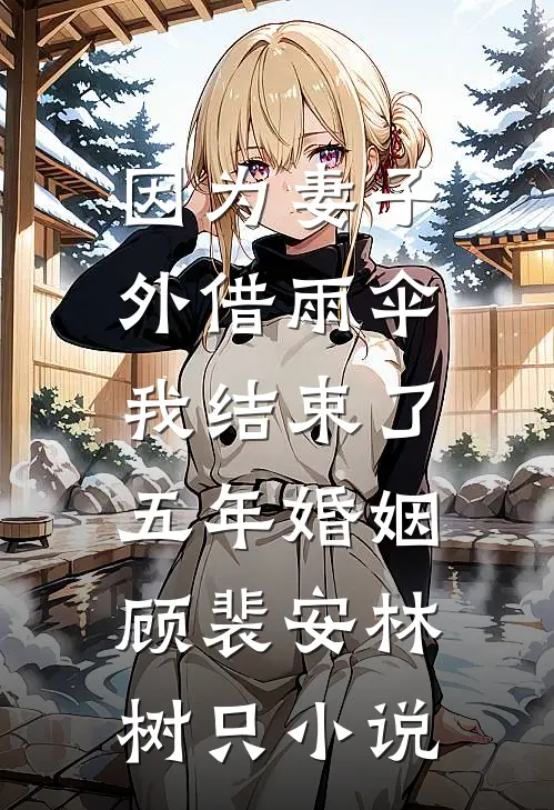 因为妻子外借雨伞，我结束了五年婚姻顾裴安林树只小说