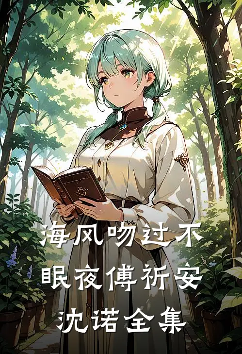 海风吻过不眠夜傅祈安沈诺全集