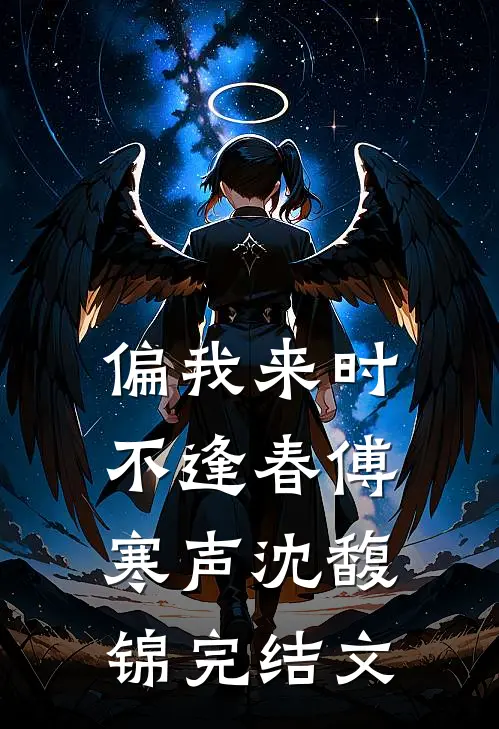 偏我来时不逢春傅寒声沈馥锦完结文