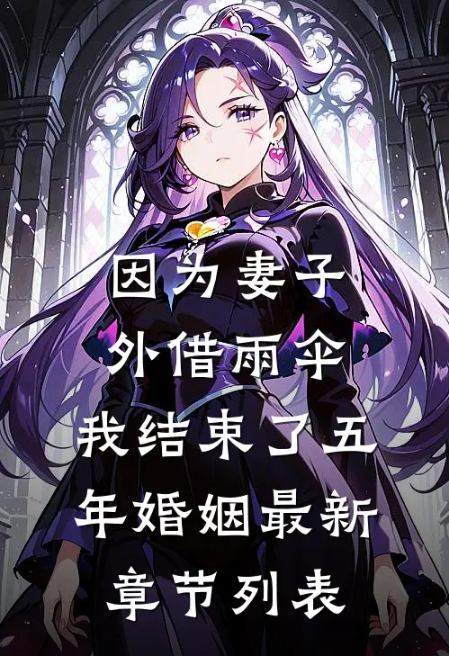因为妻子外借雨伞，我结束了五年婚姻最新章节列表